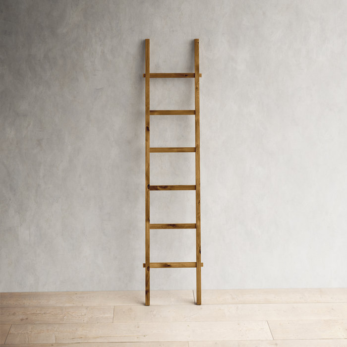 Blesse 76.75'' Blanket Ladder & Reviews Birch Lane